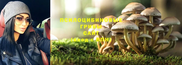 прущая мука Армянск