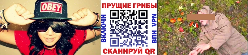 Галлюциногенные грибы Cubensis  наркота  Лаишево 